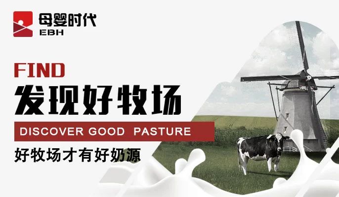 草莓视频下载APP五年磨一剑，已经站上高速发展的起跑线——陕西之新秀篇