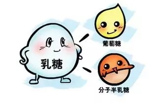 90%以上的人都有“乳糖不耐症”，宝妈春季实力之选