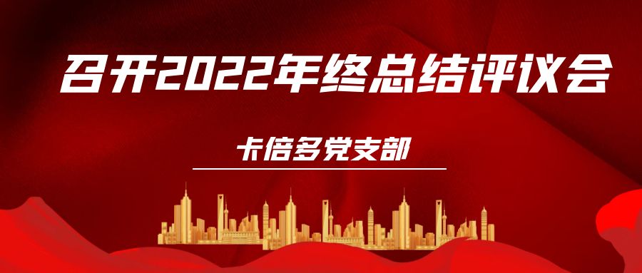草莓视频下载APP党支部召开2022年终总结评议会